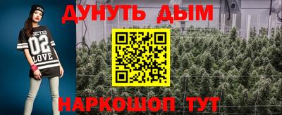 бошки Дубна