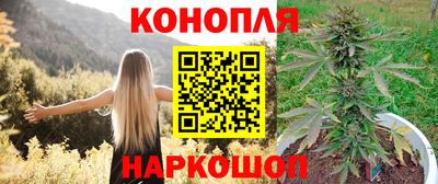 прущие грибы Донецк