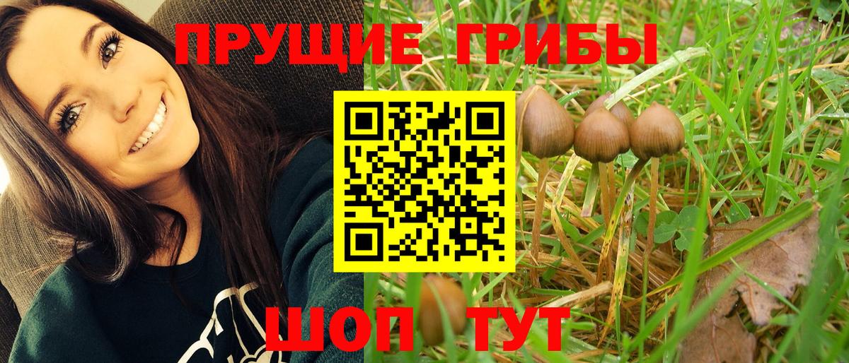 Находка  Галлюциногенные грибы прущие грибы  Вход с VPN 